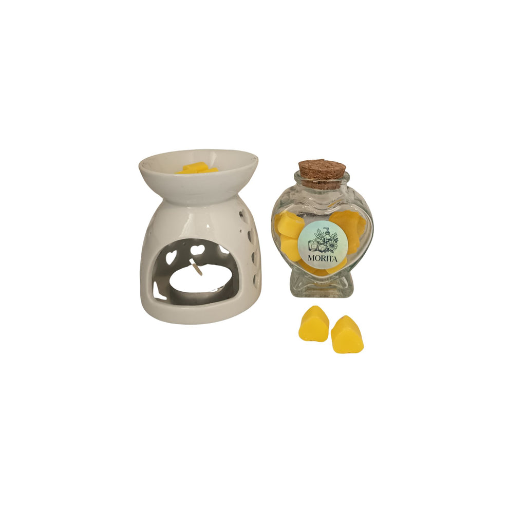 WAX MELTS OLORES VARIADOS