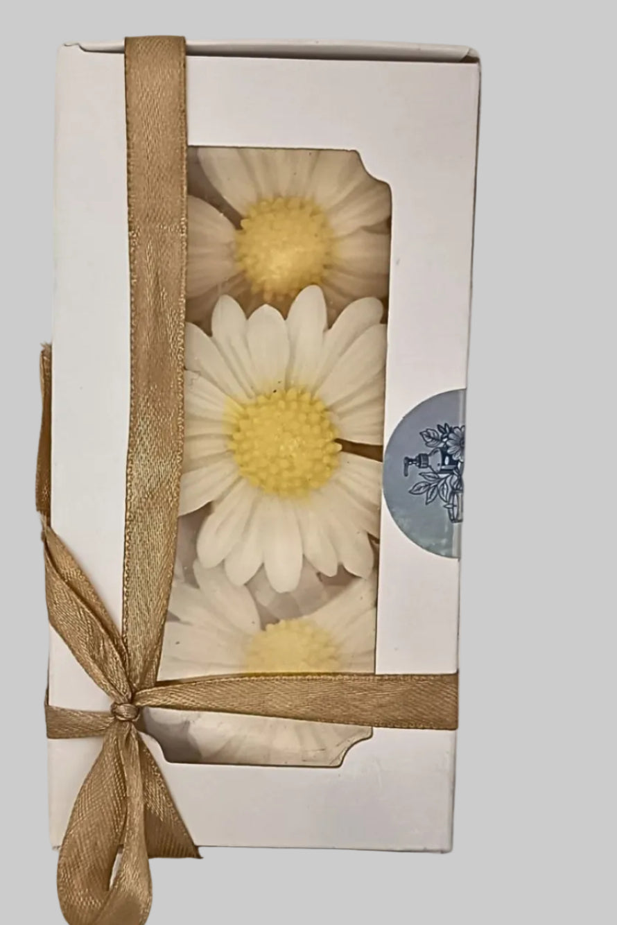 Pack 3 Wax Melts Margarita Blanca – Aroma Jazmín | Morita